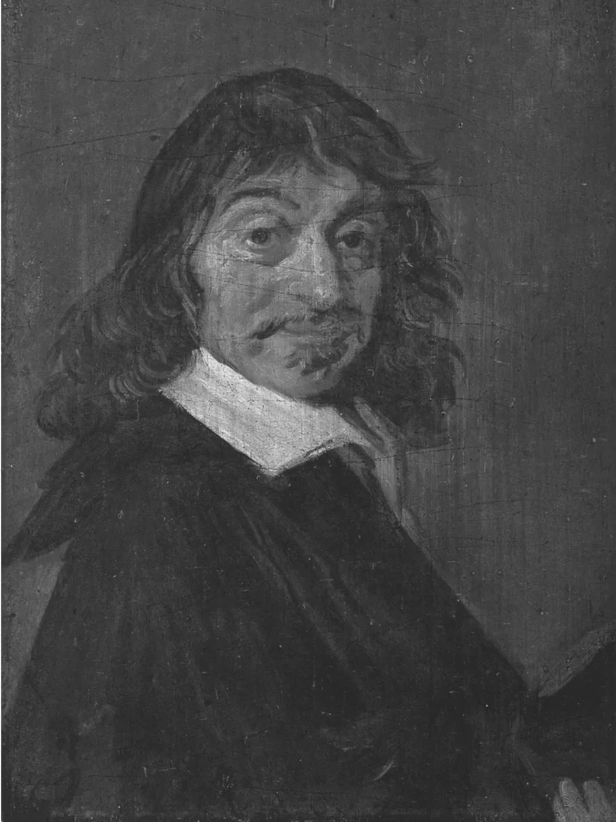 笛卡尔1649年由 Frans Hals 绘制的肖像画，为历史画像，不作为已证实容貌的写照