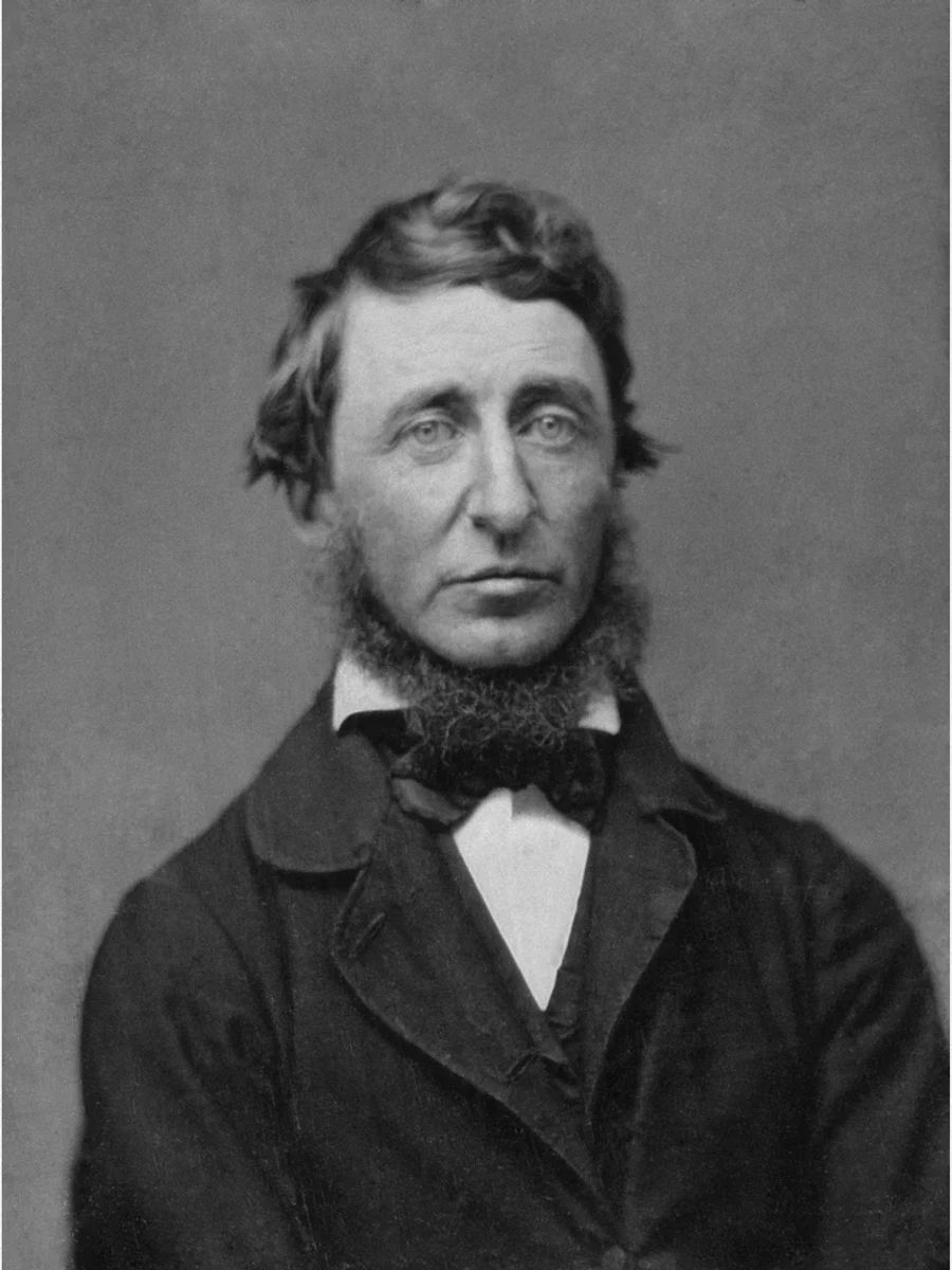 梭罗1856年的达盖尔银版法肖像照片，蓄胡须，穿深色外套